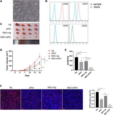 Mesenchymal stem cells elicits Anti-PD1 immunotherapy by targeted delivery of CX3CL1